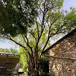 Nao Eifelhaus Von 1875 Mit Garten