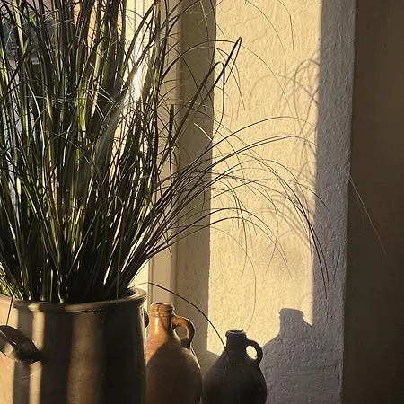 Nao Eifelhaus Von 1875 Mit Garten Uxheim